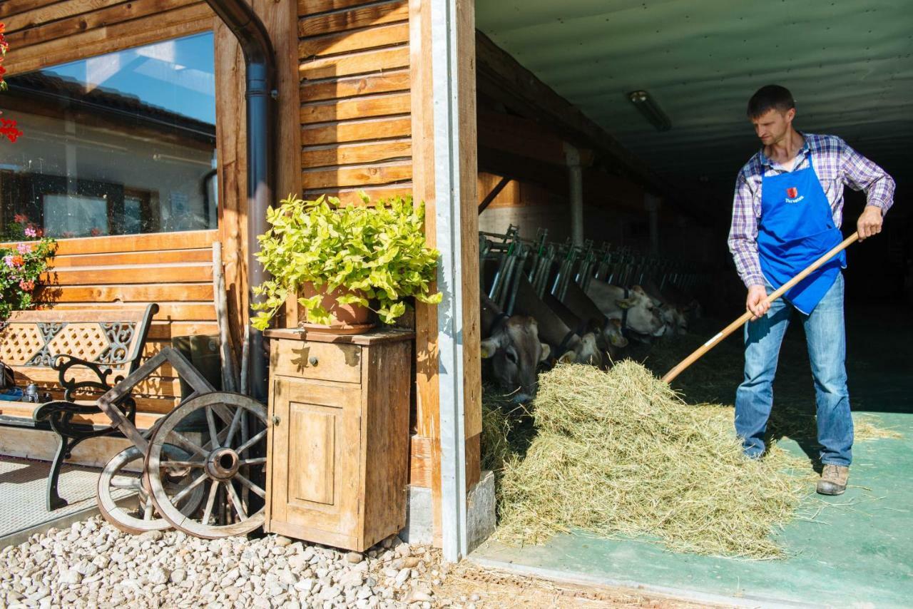 Mair Am Graben Farm * Chalets Terento Exterior foto